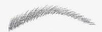 Brow Wand